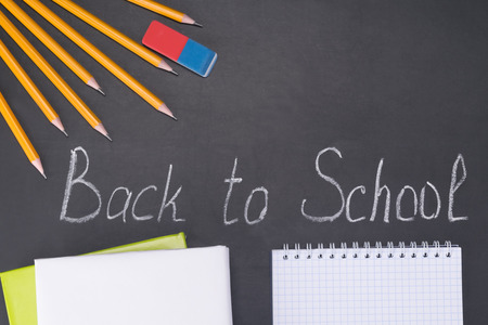 Concept of school subjects and the inscription chalk back to school Stock Photo