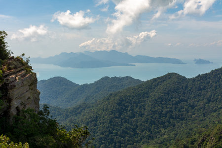 View of the lush green tree canopy of the tropical rainforests and some islands in the distance