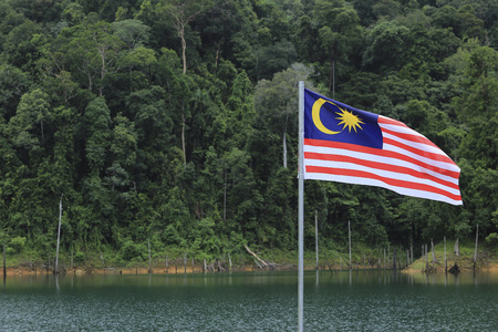 Malaysia flag jalur gemilang waving with the background of lake and malaysian rainforest trees