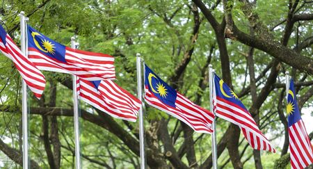 Malaysia flag also known as jalur gemilang waving with the background of malaysian rainforest trees in conjunction of independence day celebration or merdeka day Stock Photo